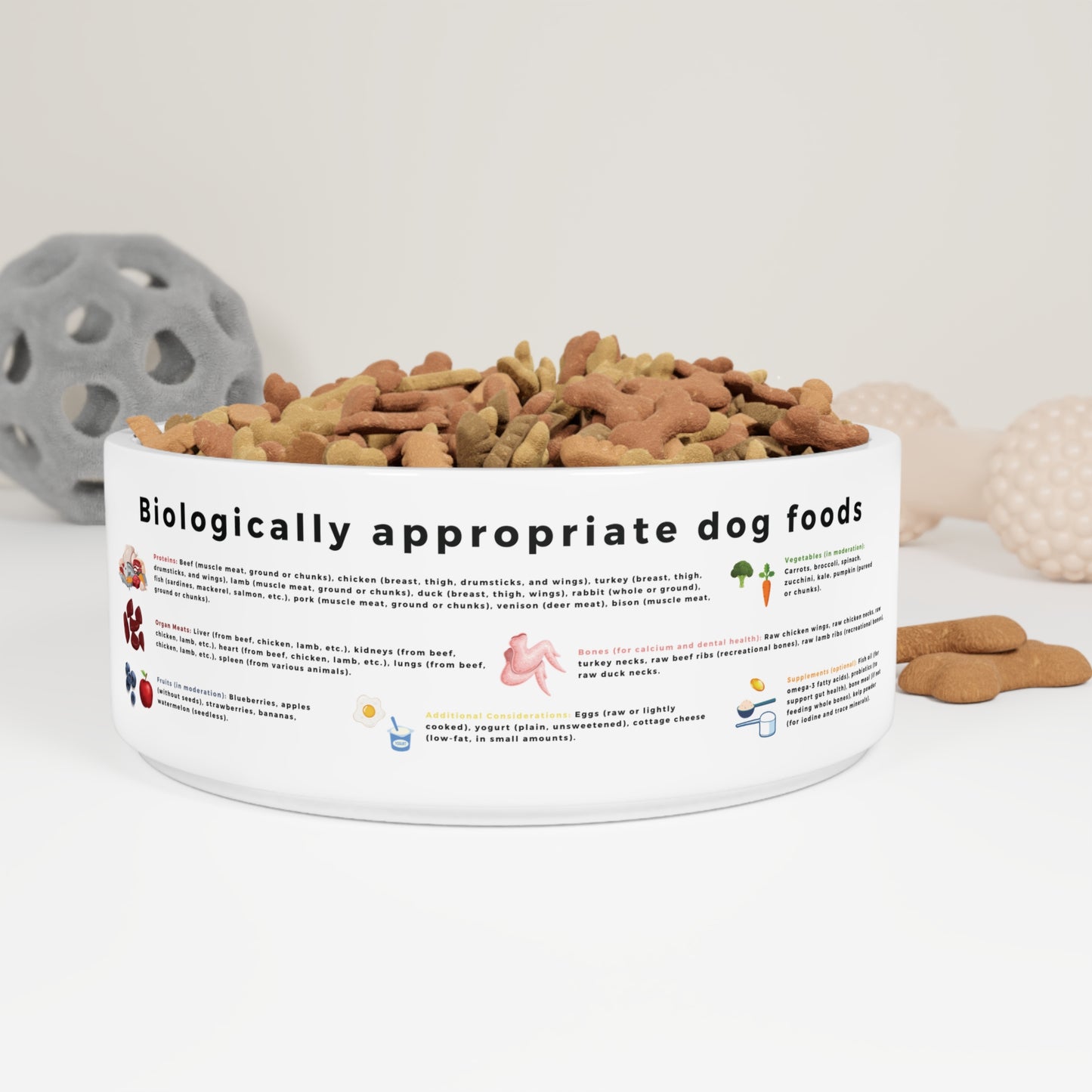 Dog Bowl with Biologically Appropriate Food Choices