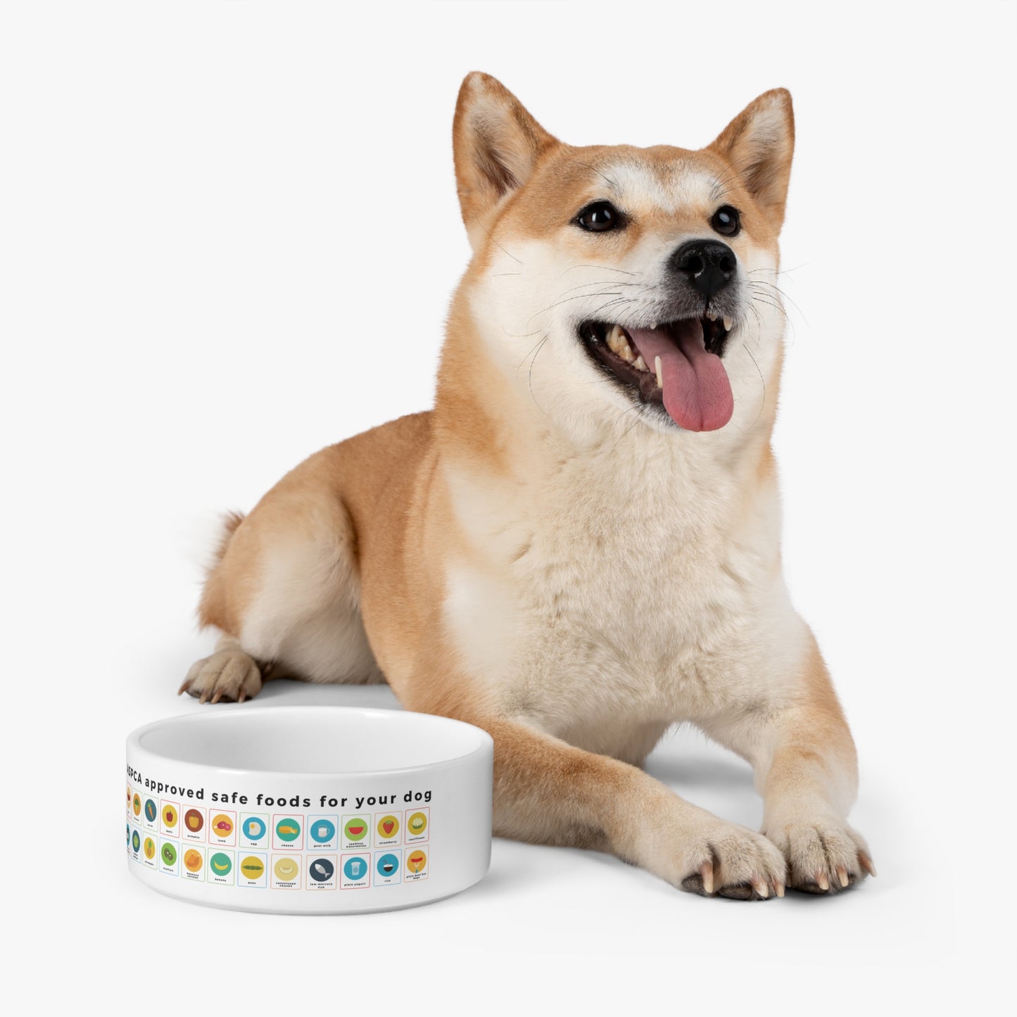 Dog Bowl with ASPCA-Approved Toppers and Treats 16 oz