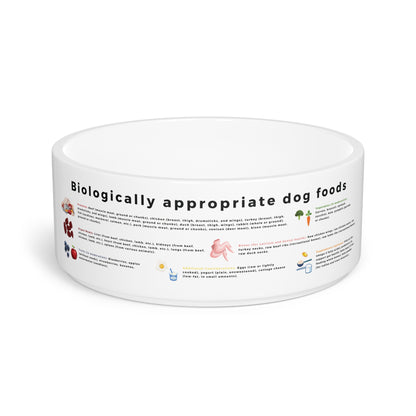 Dog Bowl with Biologically Appropriate Food Choices