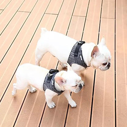 Instachew PETKIT Air Fly Dog Harness