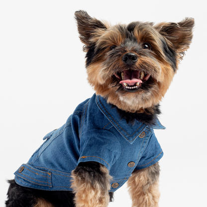 Dusten Denim Dog Jacket