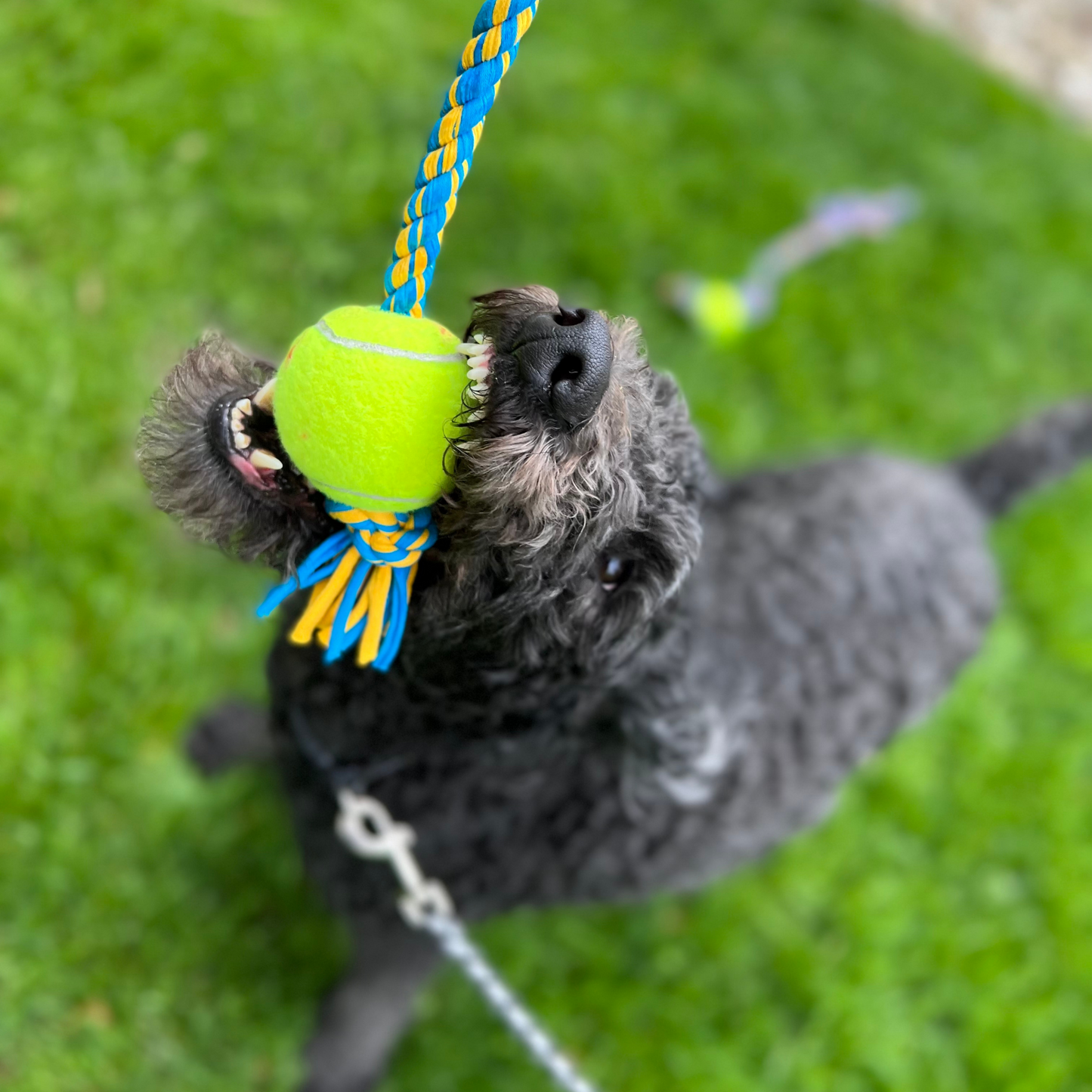 Rerope Looper Barrel with Tennis Ball Upcycled Textile Rope Dog Toys