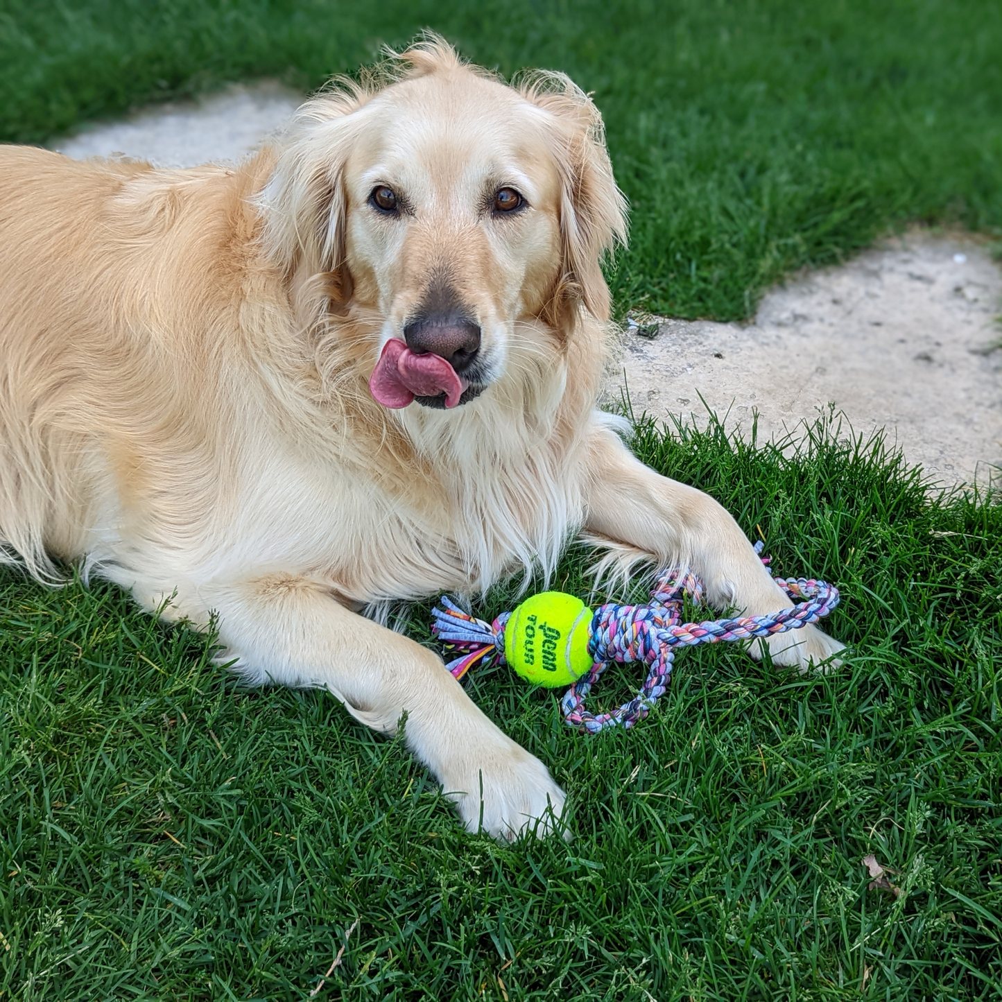 Rerope Looper Barrel with Tennis Ball Upcycled Textile Rope Dog Toys