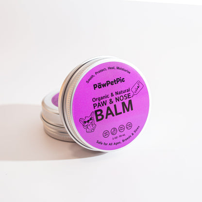 Dog Paw Balm with Shea Butter and Coconut Oil