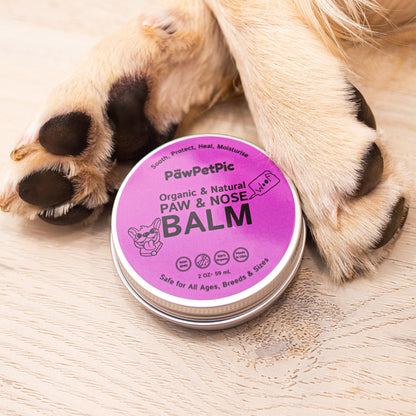 Dog Paw Balm with Shea Butter and Coconut Oil