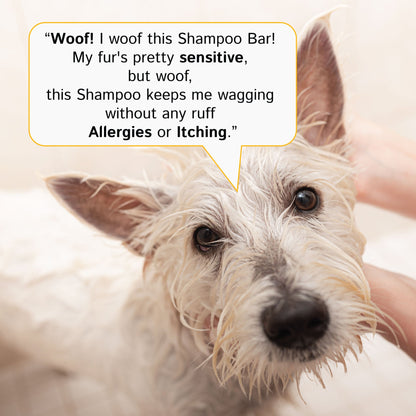 Dog Bar Shampoo with Buckwheat